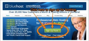bluehost-hosting-1-548x258