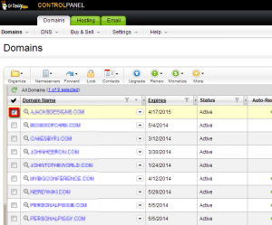 new_godaddy_domain_manager