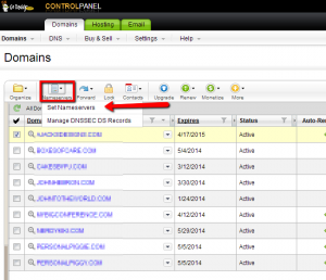 new_godaddy_domain_manager__2